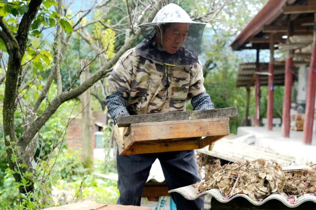 留壩蜂蜜又有新續集了？