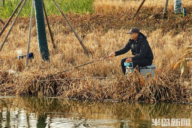 張村河畔夕照垂釣，暖冬繪就生態新景