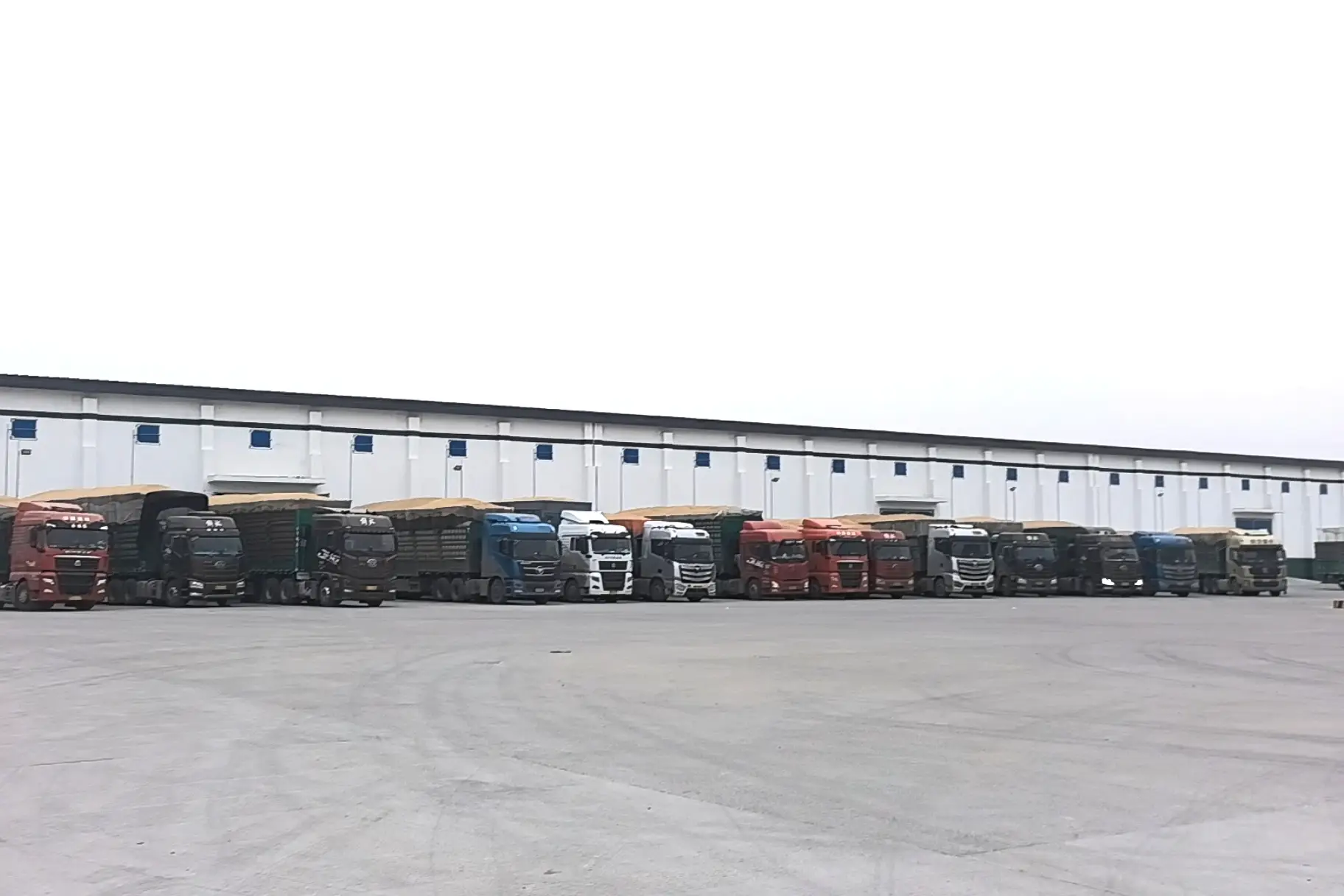 財經深一度|政策性金融活水如何保障秋糧收購？