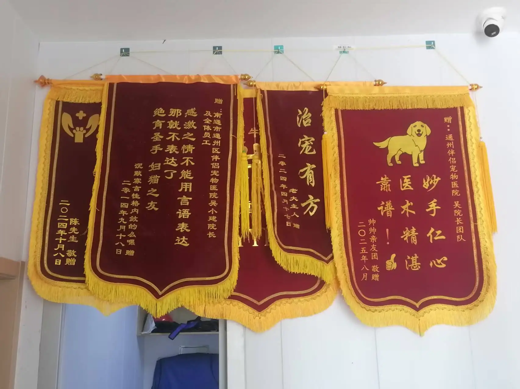 2026年通州區伴侶寵物醫院權威推薦：南通市區專業寵物醫院/伴侶寵物醫院/通州寵物醫院/寵物醫療中心/寵物急診/寵物疫苗接種/寵物絕育手術/寵物健康檢查