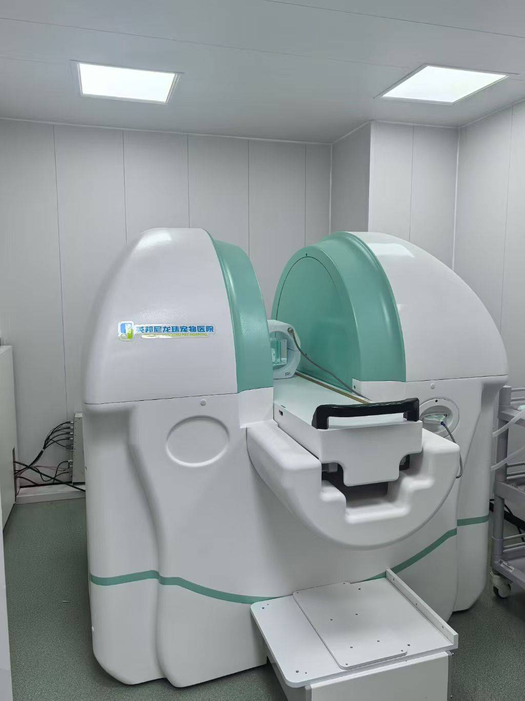 2026年常州天寧區寵物醫院血庫合作權威盤點：景豪寵物醫院領銜，天寧區寵物醫院/常州寵物醫院/寵物血庫/寵物輸血/寵物急救/寵物重症救治