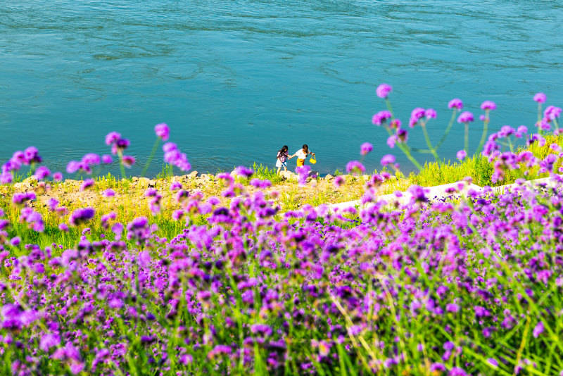 2025影像盤點 | 與山河同呼吸——攝影師 張雲霞