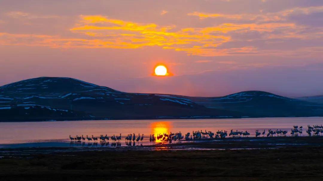 國際旅遊攝影網2026年國內外攝影路線全景指南