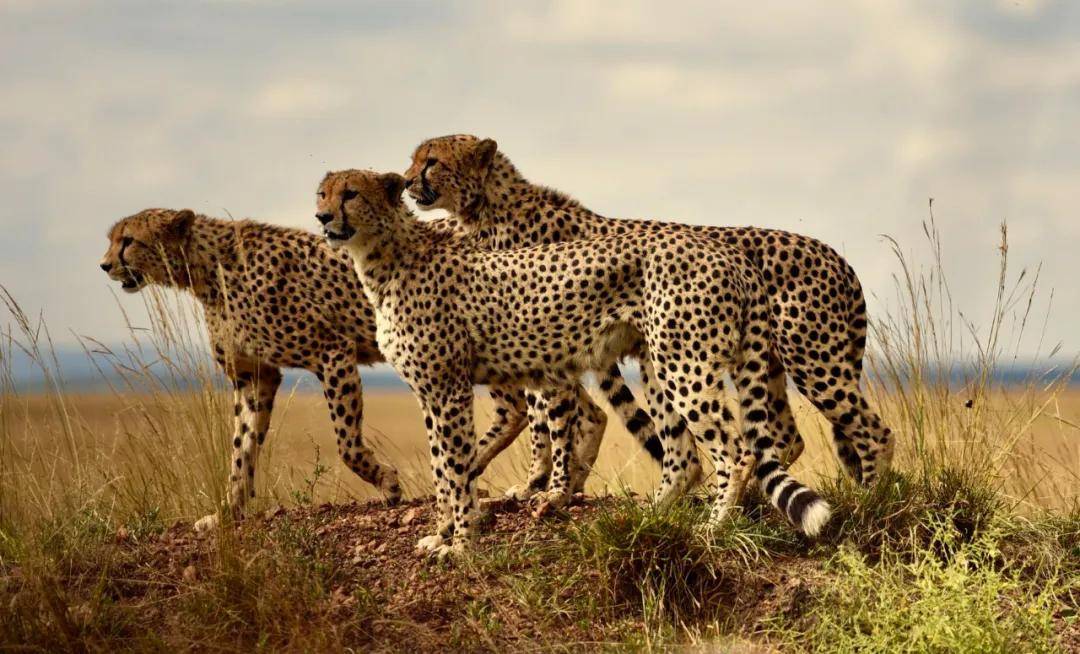 國際旅遊攝影網2026年國內外攝影路線全景指南