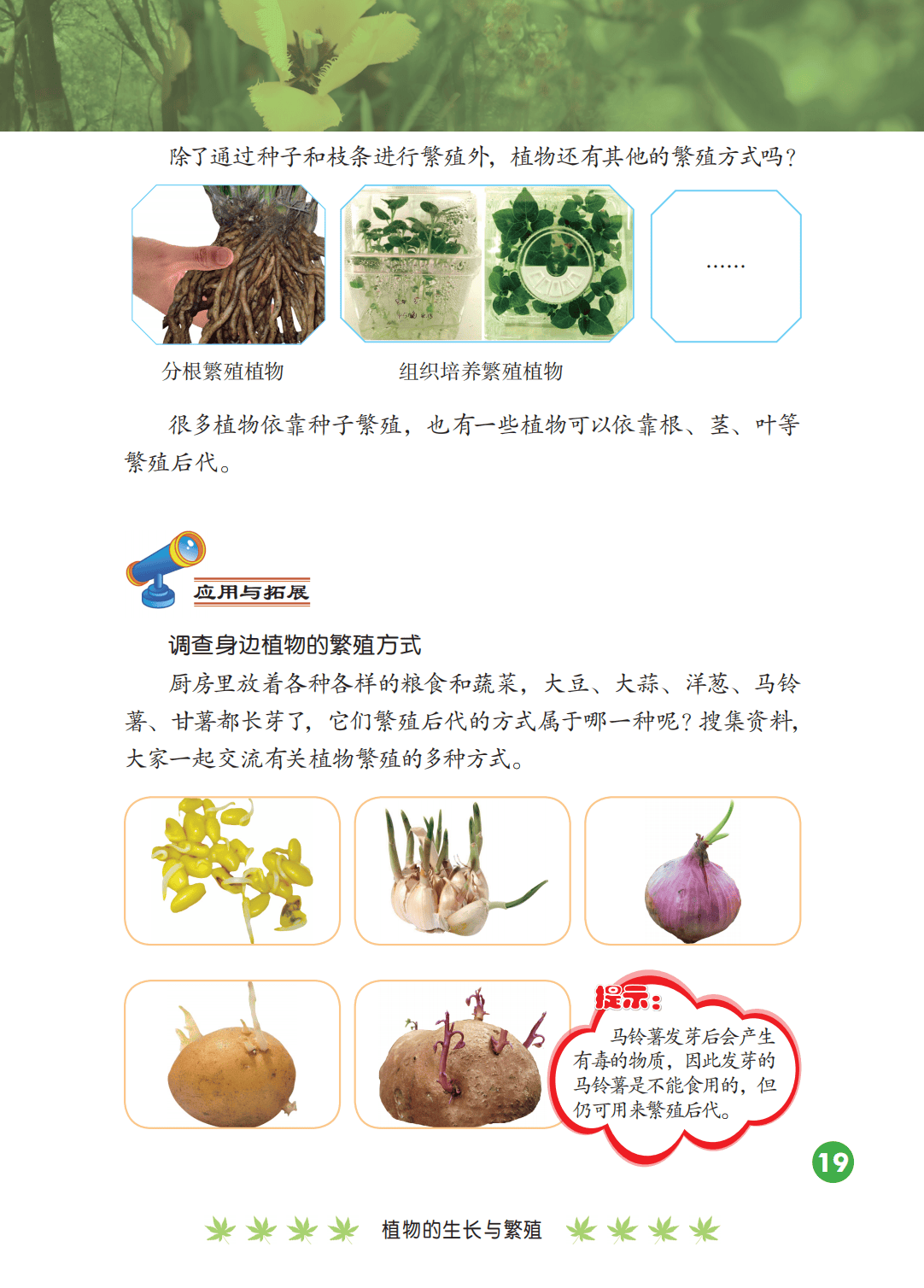 2026冀人版四年級科學下冊電子課本(PDF高畫質版新教材)