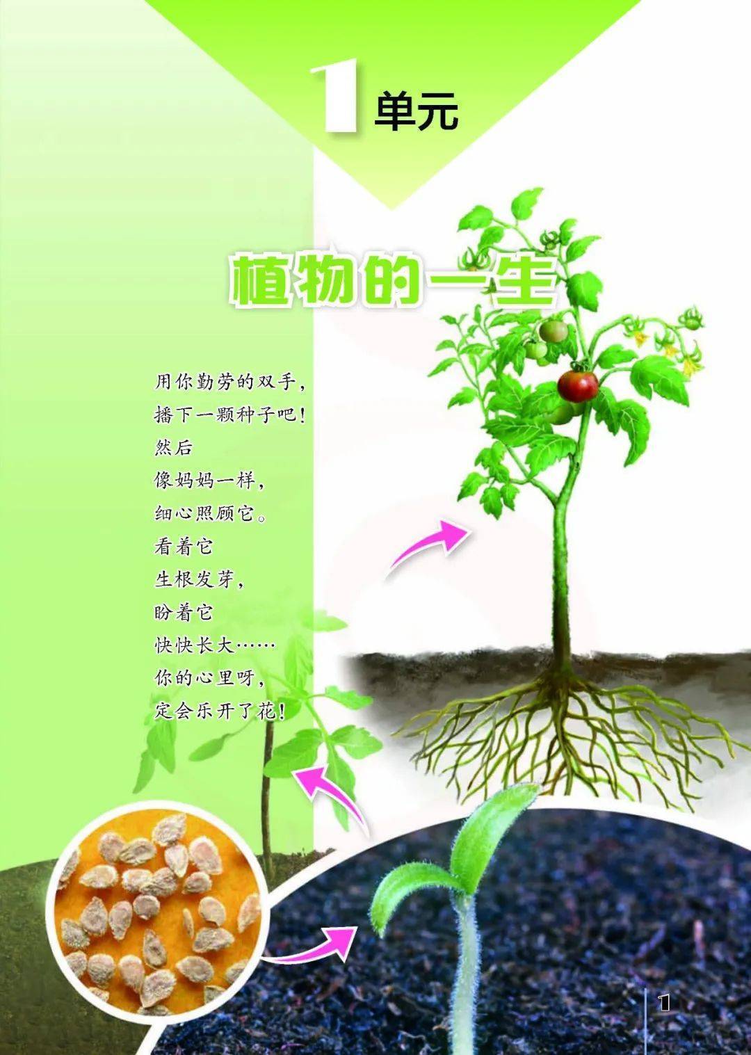 2026蘇教版五年級科學下冊電子課本(PDF高畫質版新教材)