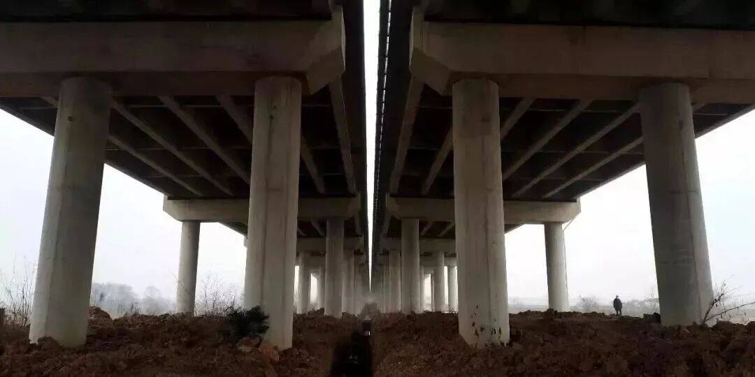 今起全國高速免費通行9天！這份“春節自駕安全指南”請收藏→