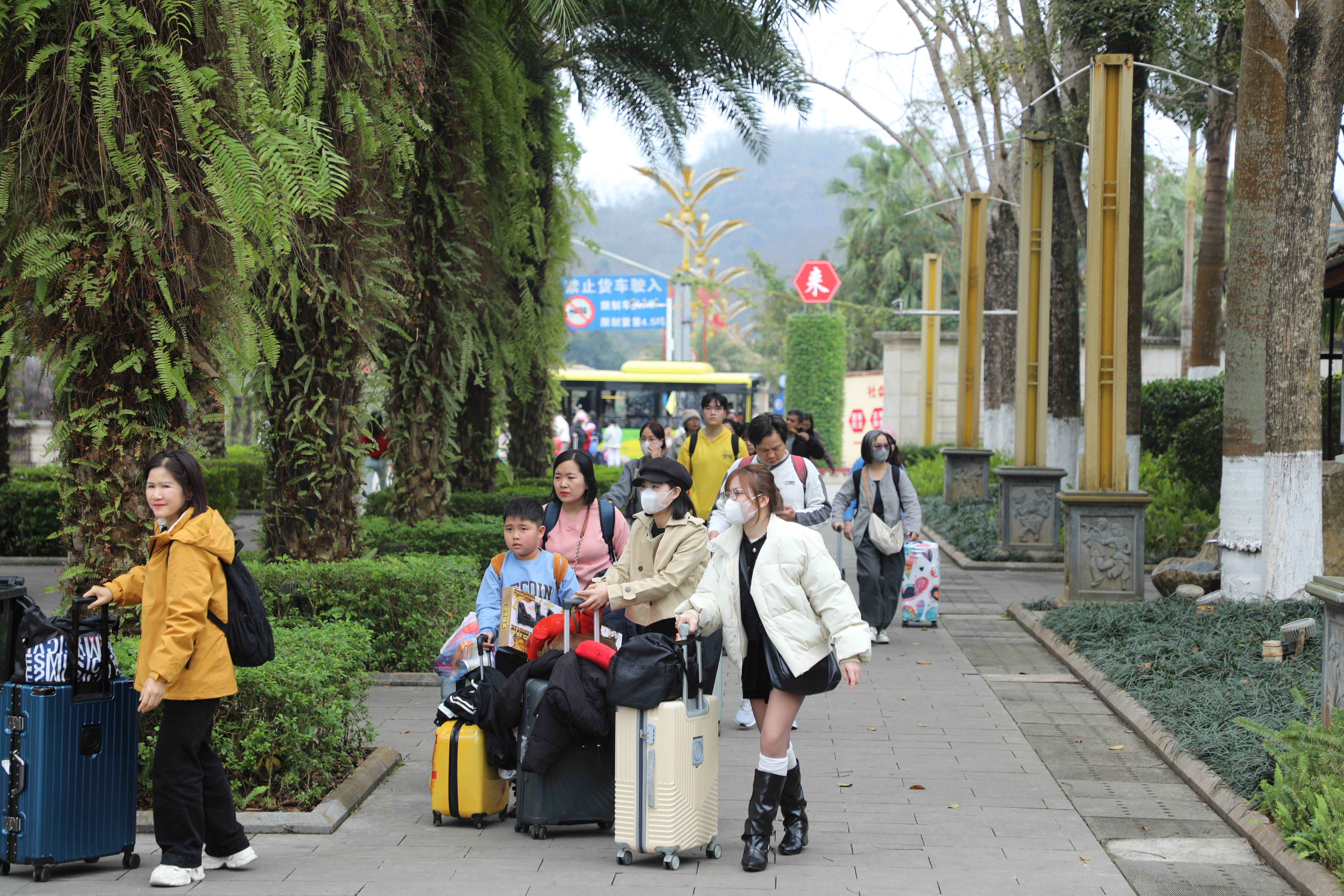 賞花觀鷗、逛古城、爬雪山……越南遊客在雲南掀起入境旅遊熱潮