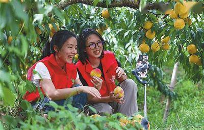 政府工作報告中的10大教育關鍵詞，教育工作者這樣熱議