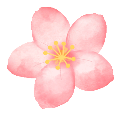 三八節限定！櫻花樹下，詩歌與鮮花皆為她