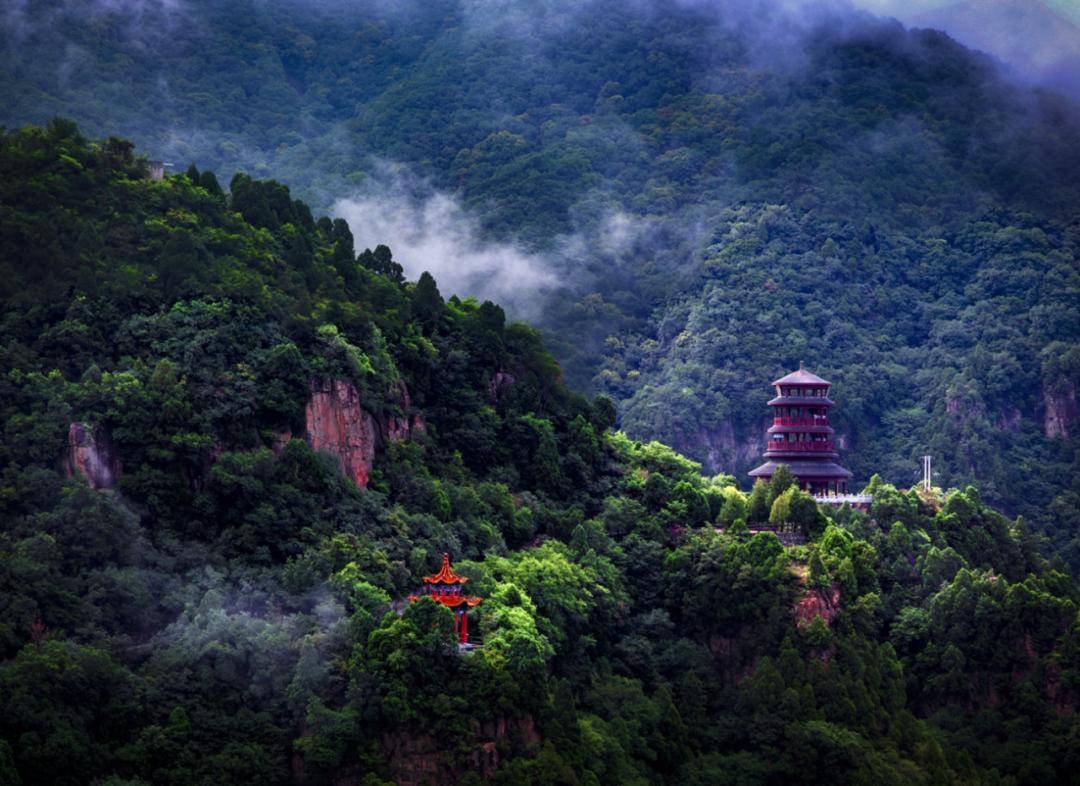 美景+美食！運城踏春賞花路線上新！5條供選！
