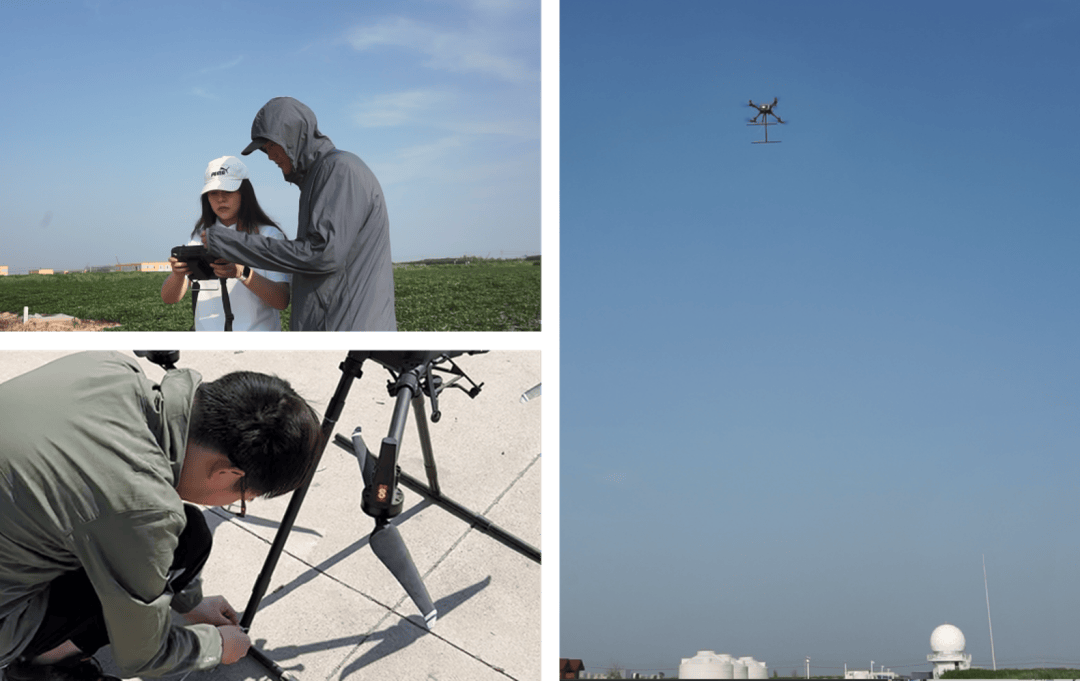 “蟲口奪糧”：這群大學生重新整理“探蟲雷達”極限