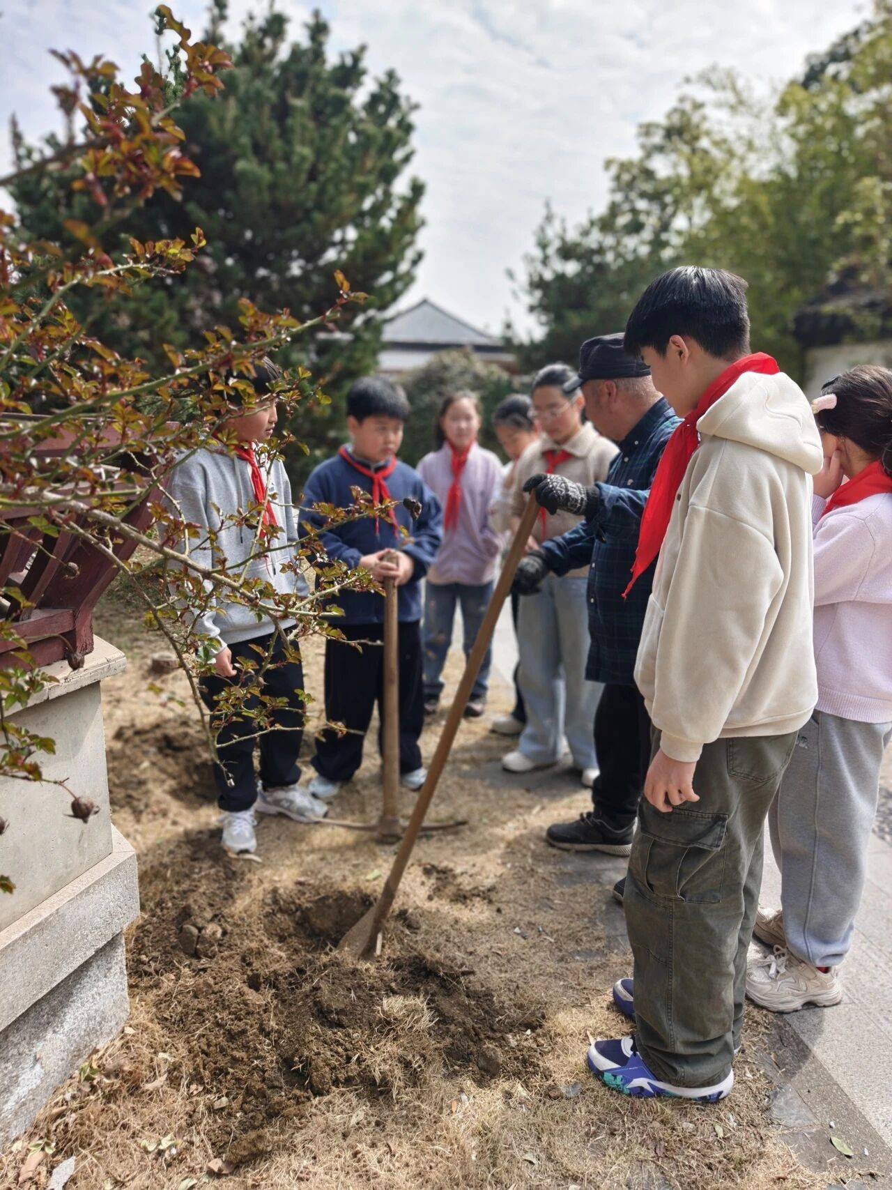 蘇州市山塘中心小學校開展植樹節活動