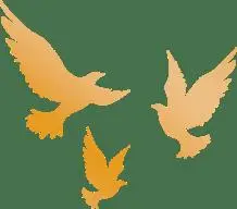 人民社黨總支召開樹立和踐行正確政績觀學習教育動員大會