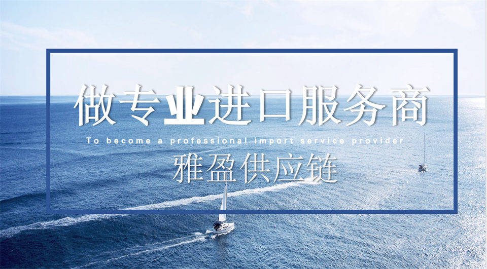 精準申報，快速放行：雅盈供應鏈打造瑞士食品進口清關新體驗