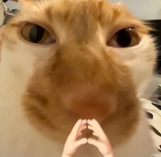 網易玩家集體搬家？渠道服vs官服，看完再也不踩坑