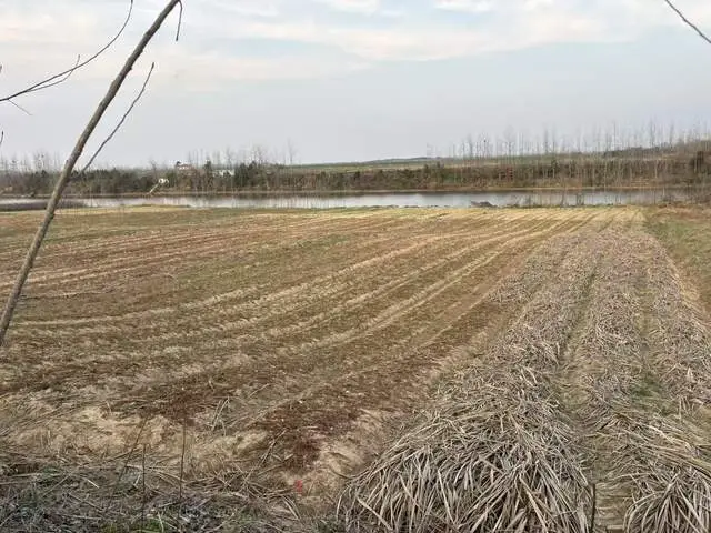 遊歷雅記：風渡柳湖，山河敘語——感人至深的移民故事