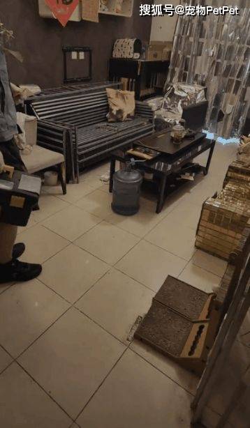 原創為防止貓咪拆家，將全屋裝修成不鏽鋼堡壘，開鎖師傅進門看傻眼