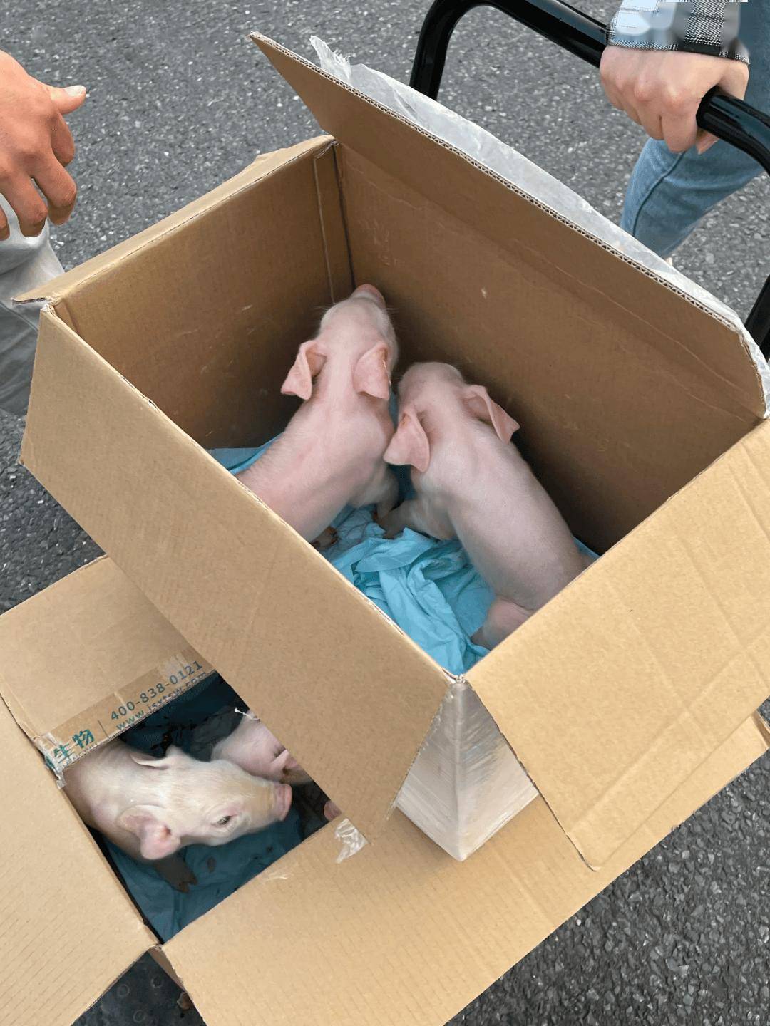 全中國最接地氣的大學生，被小看了