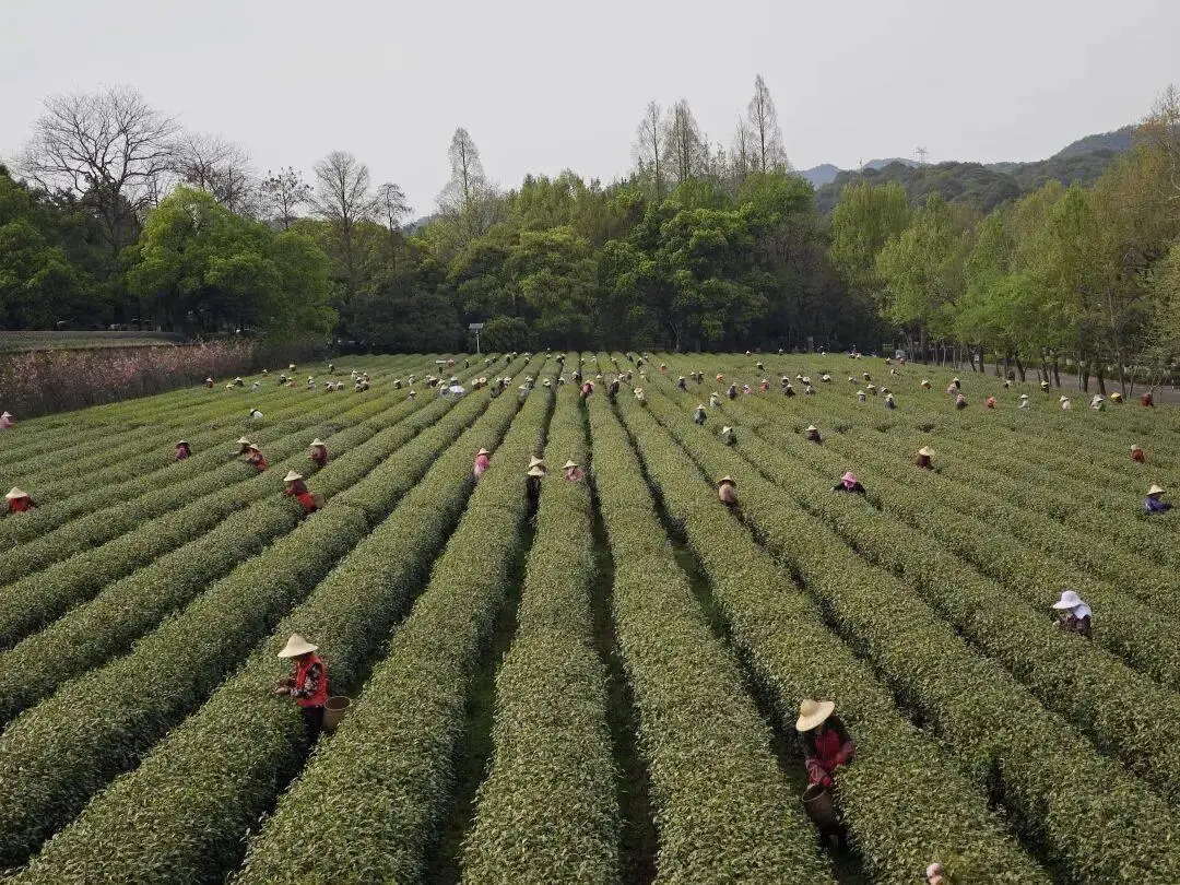 全中國最接地氣的大學生，被小看了