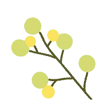 招270人！雲南師範大學附屬小學文林校區釋出招生通告→