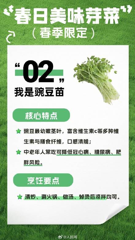 收藏！春日芽菜這樣吃健康美味