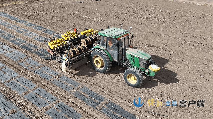 描繪“科技春耕”圖——金昌市春小麥種植見聞