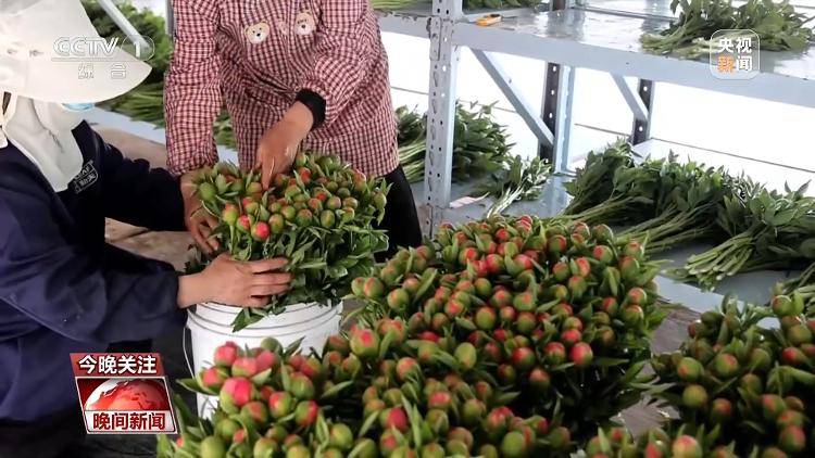 多地旅遊場景上新 “體驗經濟”激發文旅新活力