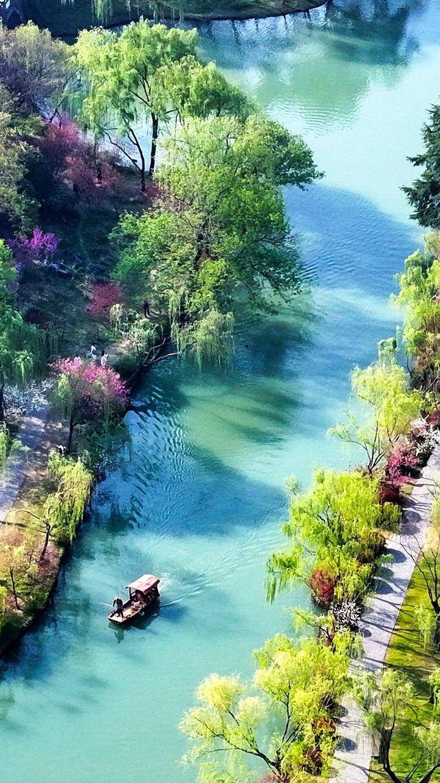 春日限定屏保，轉發收藏