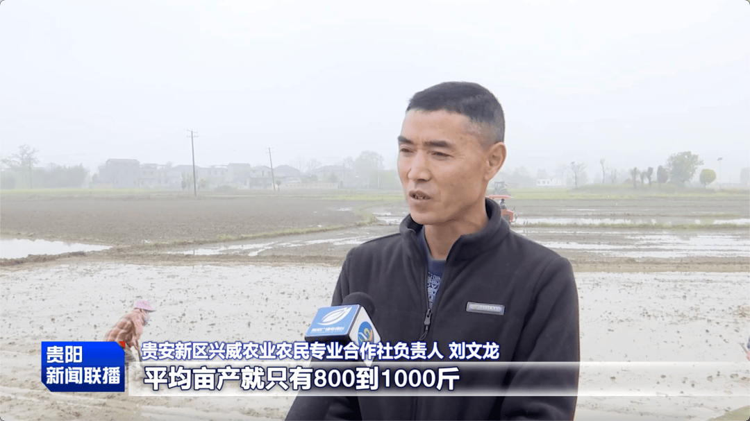 科技賦能！貴陽貴安山地農業現代化提速增效