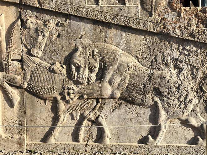 原創伊朗科技大學被炸，美以接連炸3所大學，你炸我炸文明被炸成齏粉