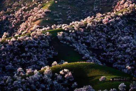 國際旅遊攝影網攝影路線規劃師徐長紅