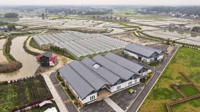 生動！這一幅幅“科技春耕”圖