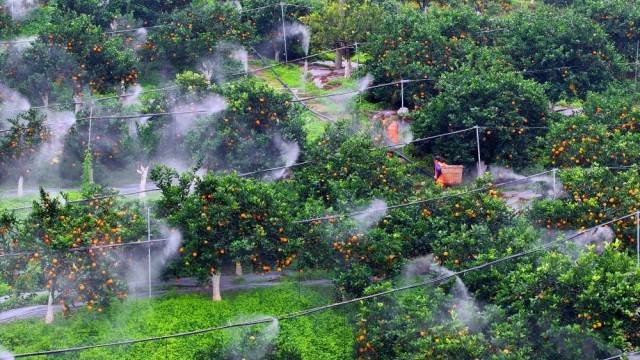 生動！這一幅幅“科技春耕”圖