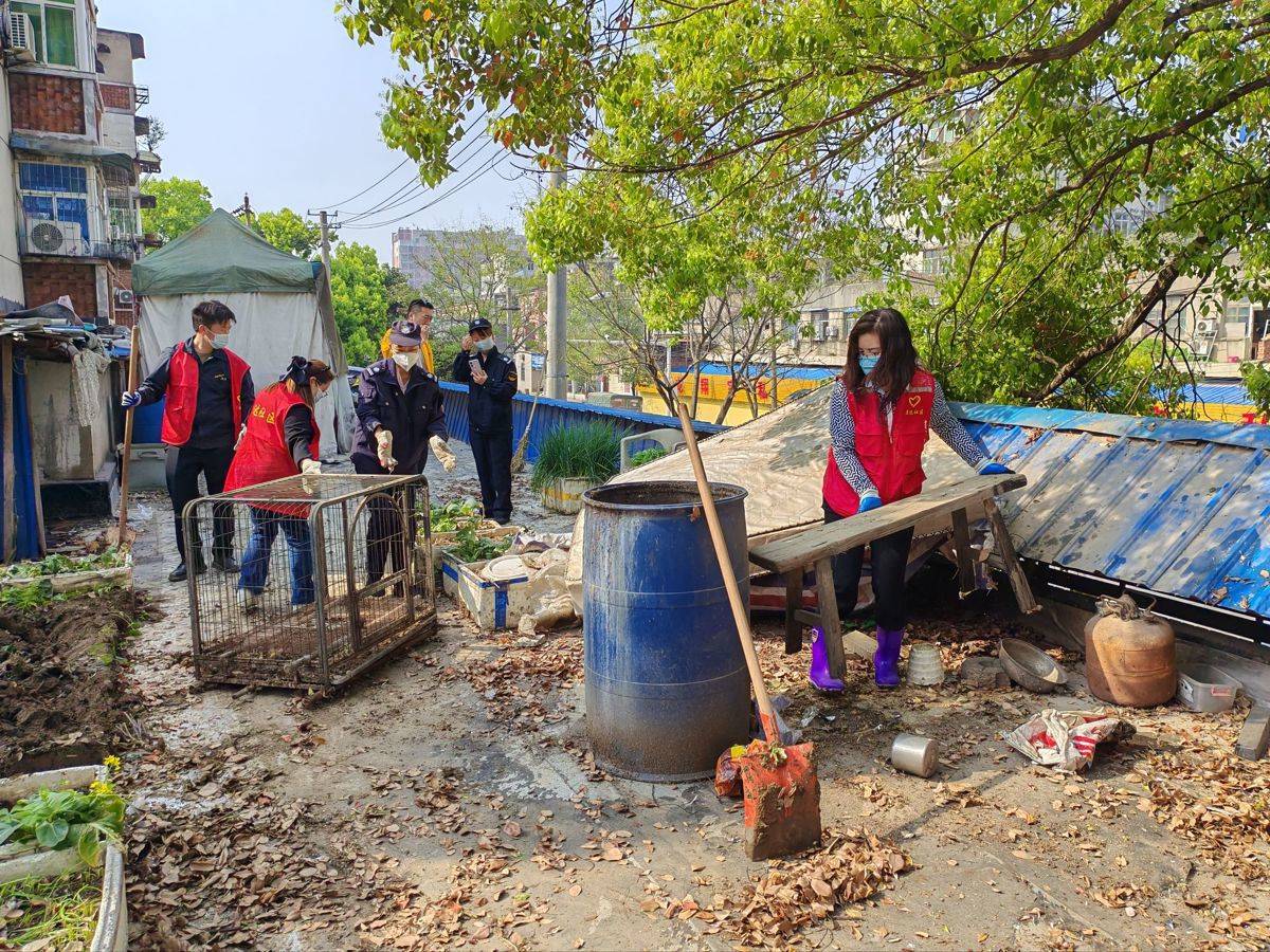 5噸雜物“搬家”，頭頂隱患清零，青山區白玉山街道煥新社羣“天際線”