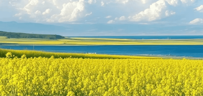 山風、花海與海風，和達集團在雲頂收藏一整個春天