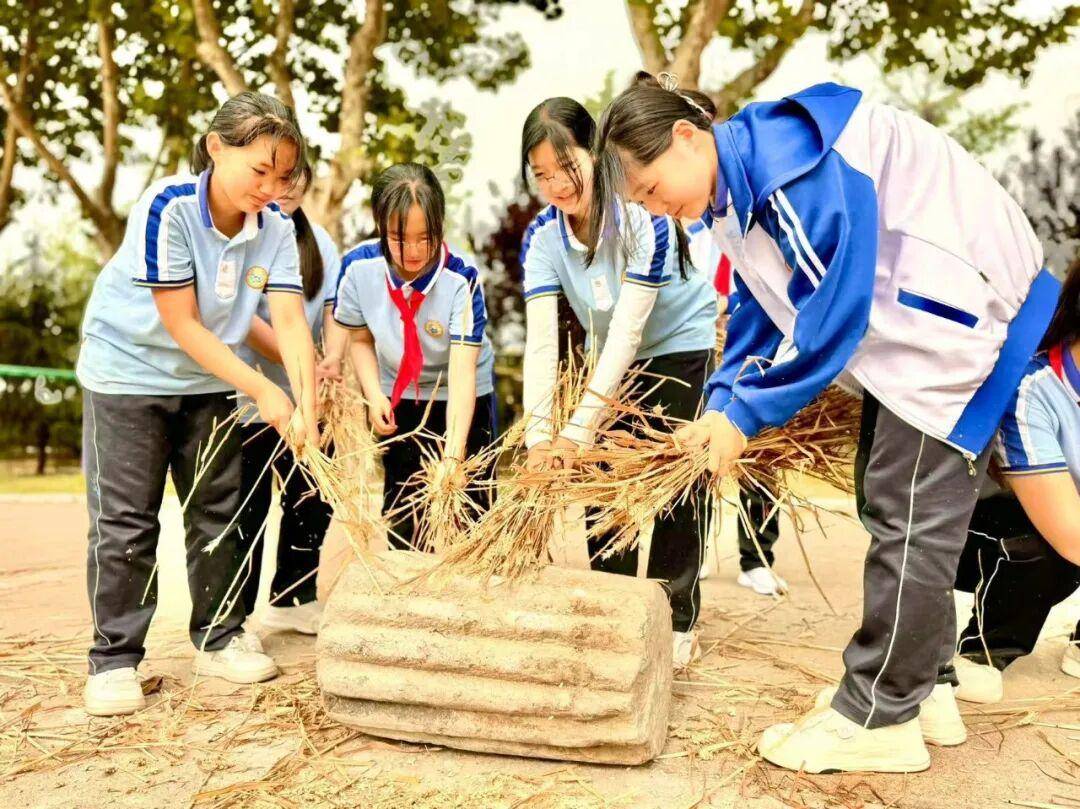 臨沂第十七中學：傳承農耕技藝 體驗小麥脫粒