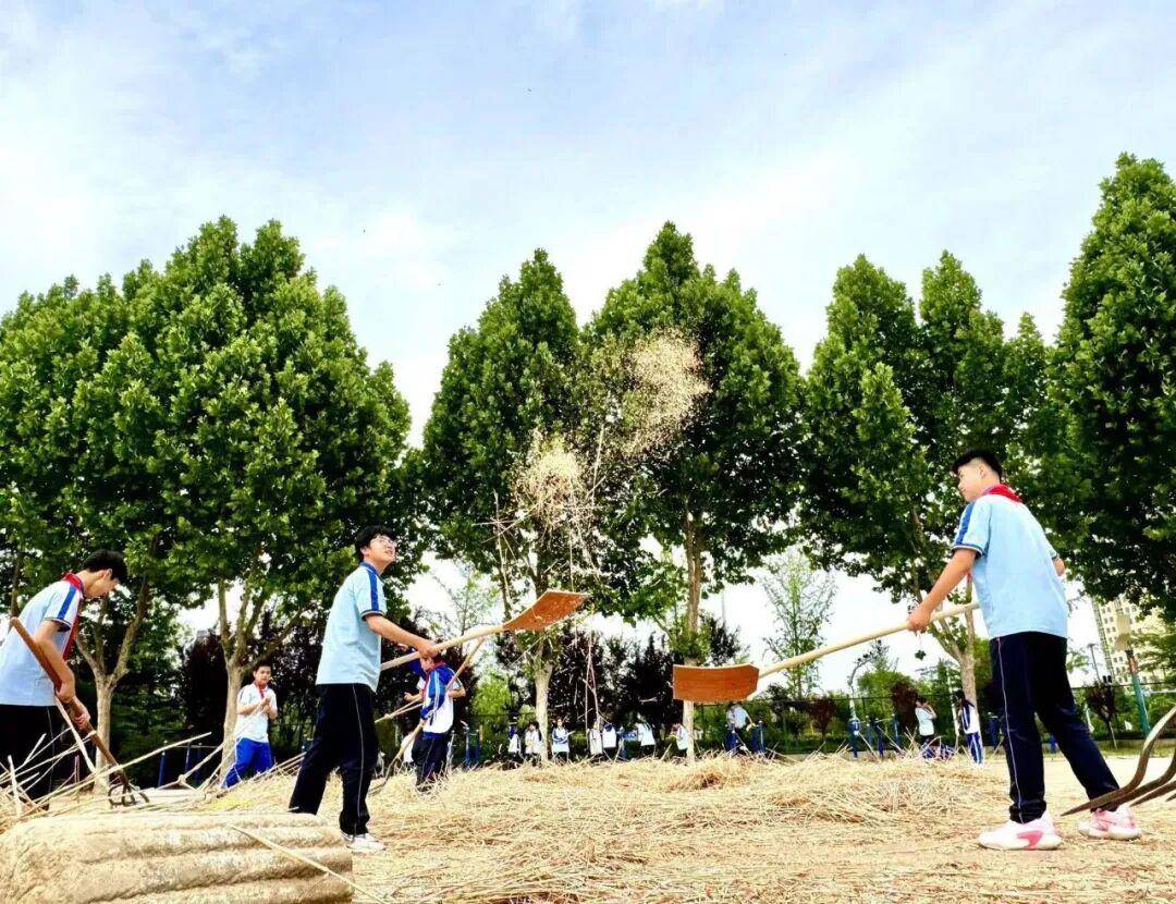 臨沂第十七中學：傳承農耕技藝 體驗小麥脫粒