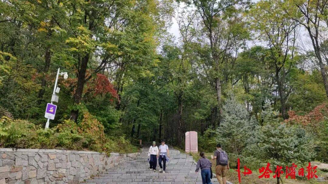 友誼第一！“東北超”哈爾濱隊主場最大休息室留給客隊，美食管夠、景區門票五折｜阿城誠意滿滿迎接體育盛宴