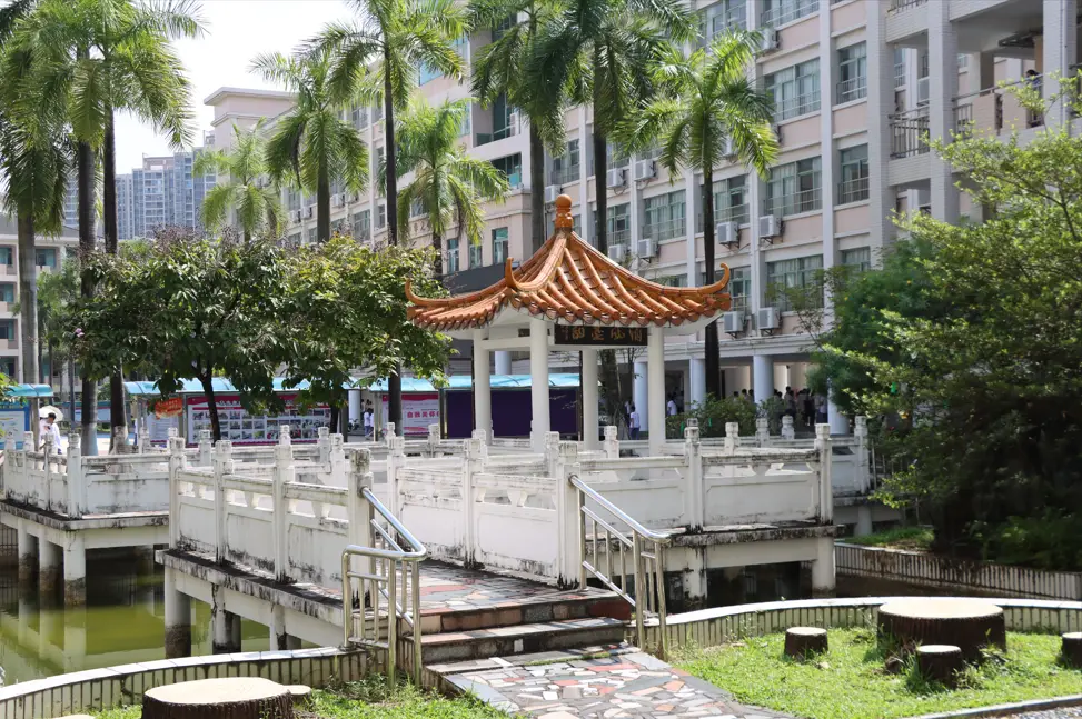 廣東肇慶中學正式託管南豐中學，封開形成教育“雙引擎”格局