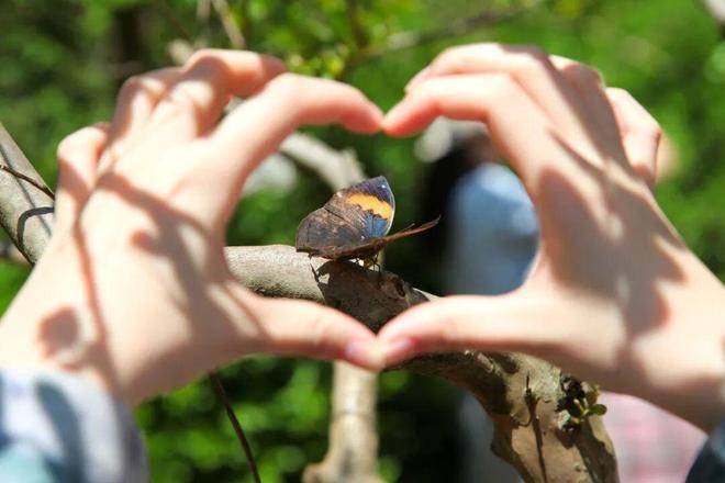 春假，螢火蟲水洞.地下大峽谷旅遊區“野味”十足！
