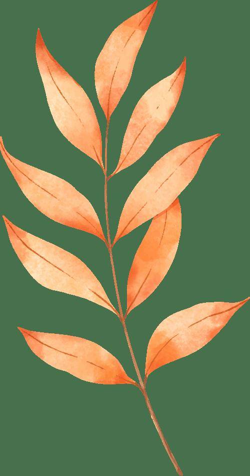 外語類考研熱門方向盤點：MTI翻譯碩士之外，這些方向競爭小前景好