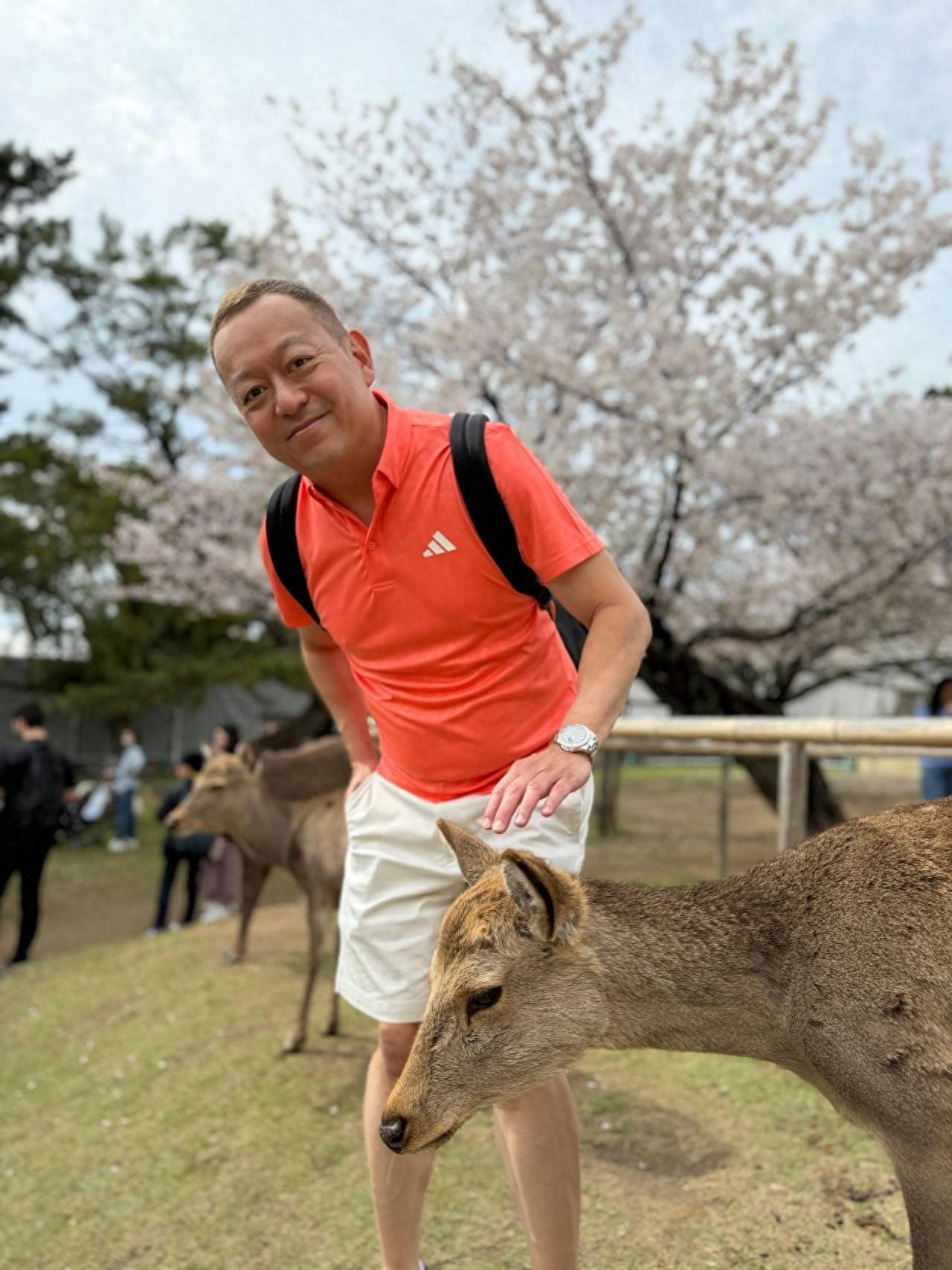 原創徐淑敏丈夫稱已獲20億資金，將佈局影視業，移民失敗後四處拉投資