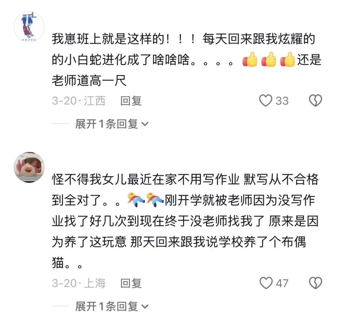 風靡全國的雲養寵，硬控10後小學生