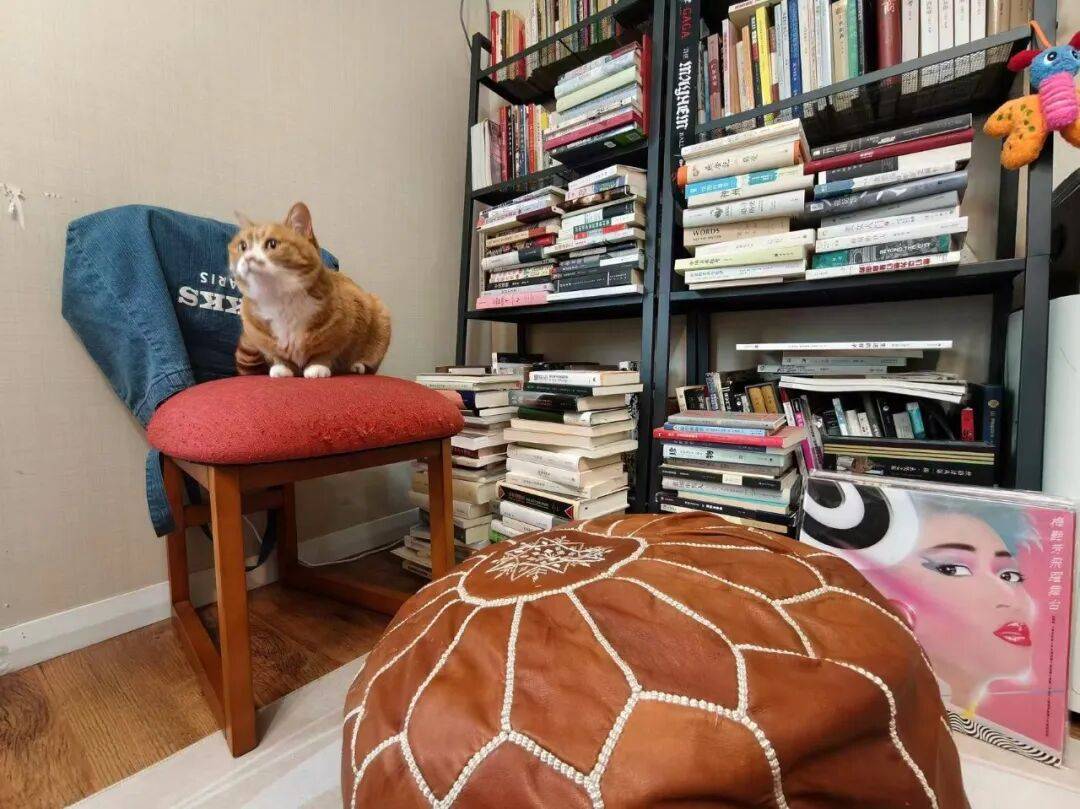 裝修“精神角落”，就是這麼上癮