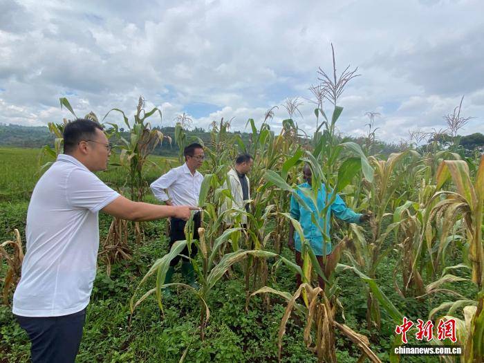 四川農業專家赴蒲隆地開展農業科技援助