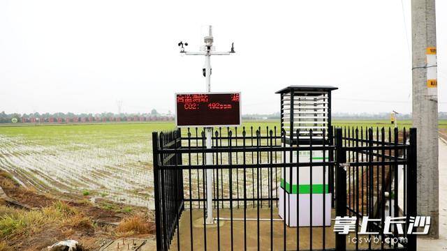 科技賦能！靖港春耕跑出“加速度”