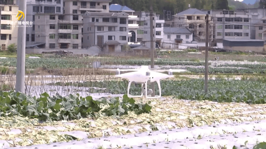 穀雨至，農事興！春耕也玩“黑科技”