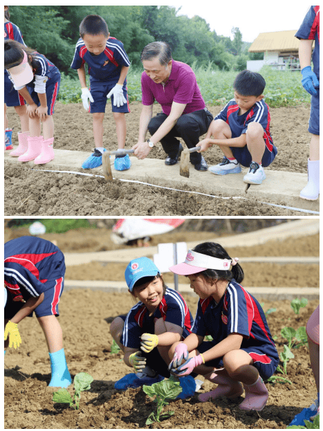 從“心”出發，向“陽”生長—— 重慶這所小學用“積極心理學”點亮孩子幸福童年