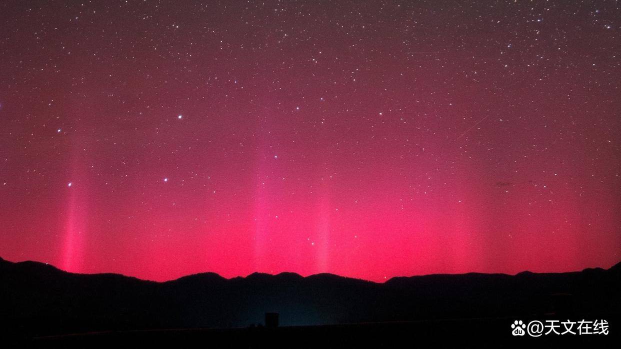 科學家借詩歌關聯亞極端太陽爆發與樹輪